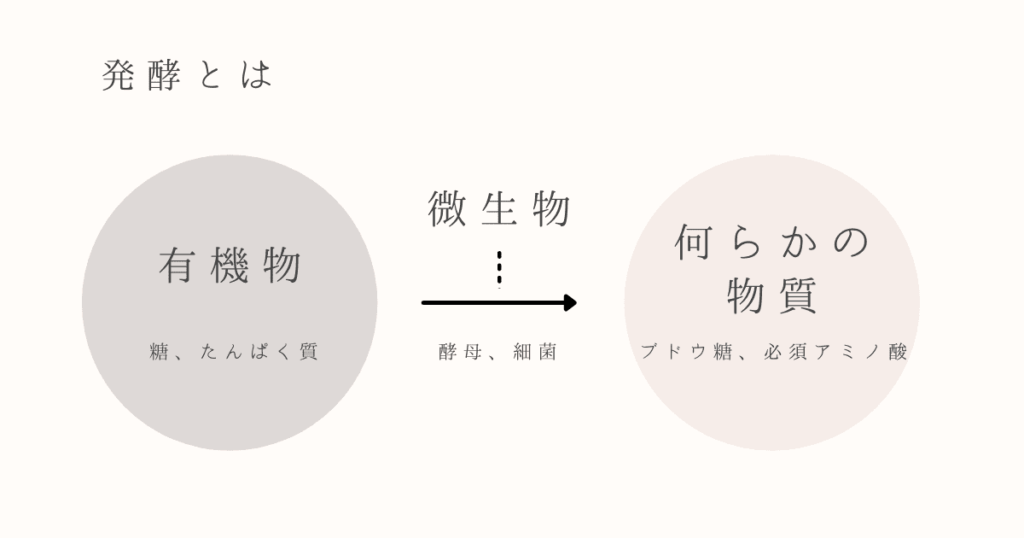 発酵とは